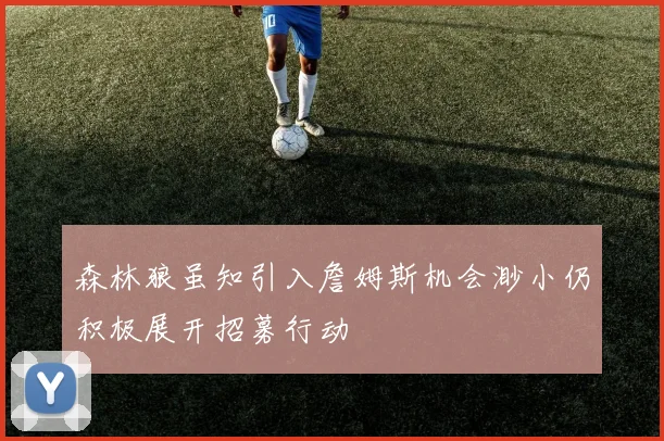 森林狼虽知引入詹姆斯机会渺小仍积极展开招募行动