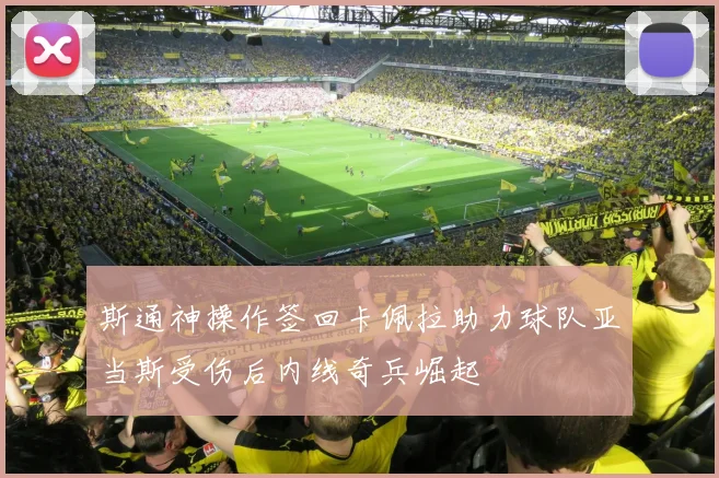斯通神操作签回卡佩拉助力球队亚当斯受伤后内线奇兵崛起
