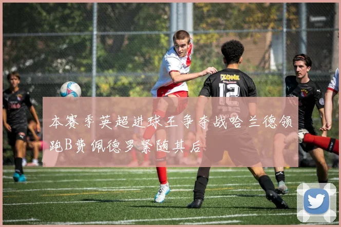 本赛季英超进球王争夺战哈兰德领跑B费佩德罗紧随其后